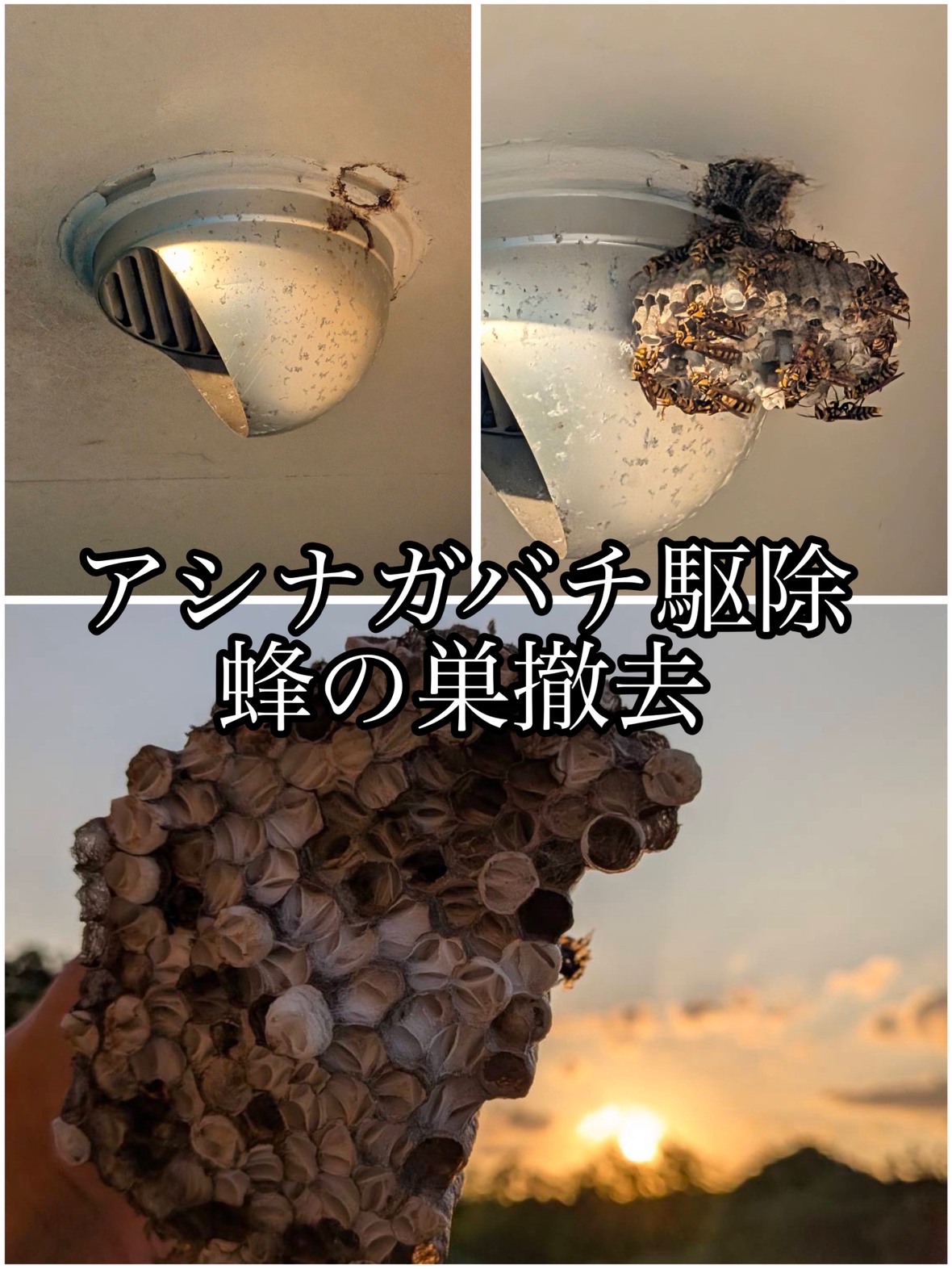 メニューの写真