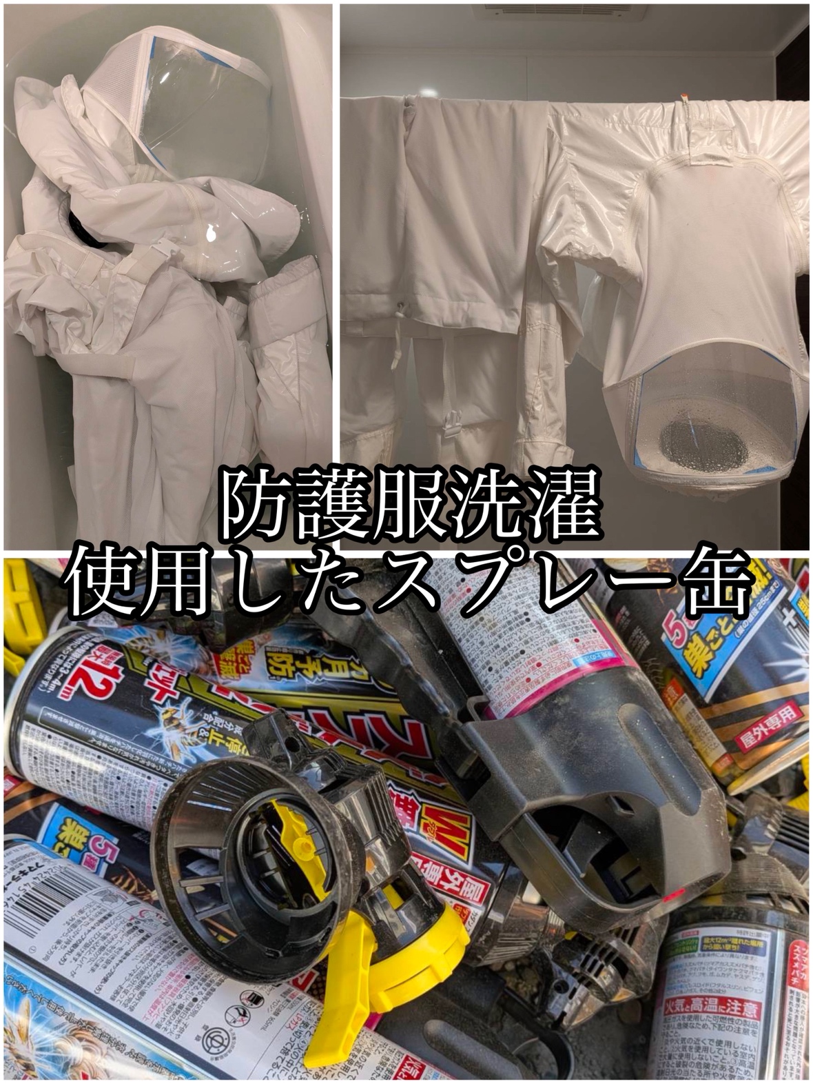メニューの写真
