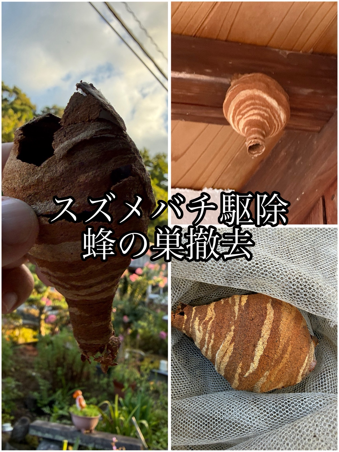 メニューの写真
